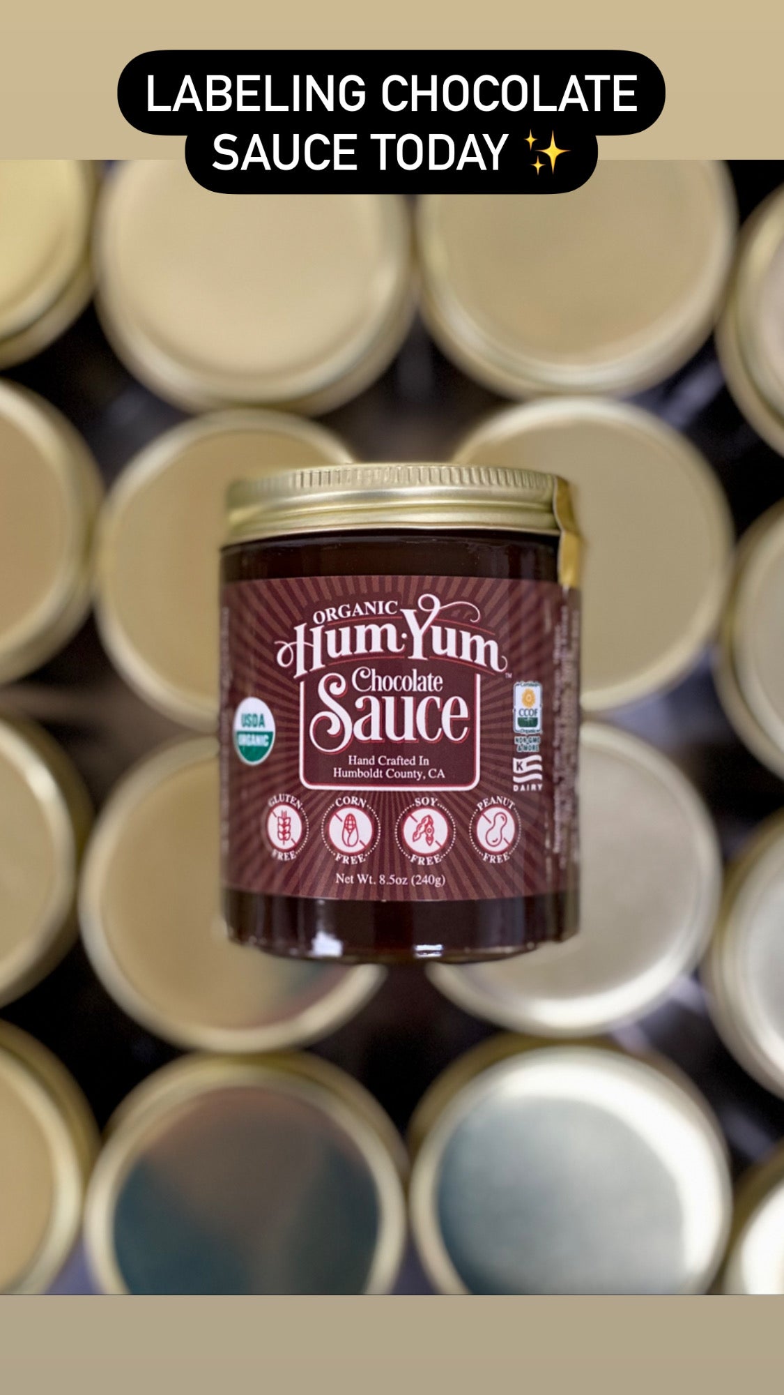 Organic Chocolate Sauce